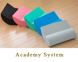 Academy System